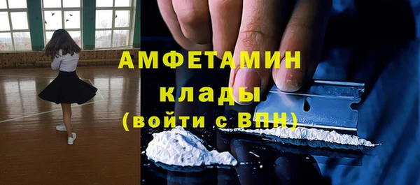 ECSTASY Алзамай