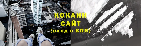 ECSTASY Алзамай
