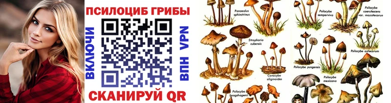 Галлюциногенные грибы прущие грибы  Нестеров 